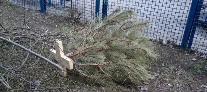 Утилизация новогодних елок в Москве
