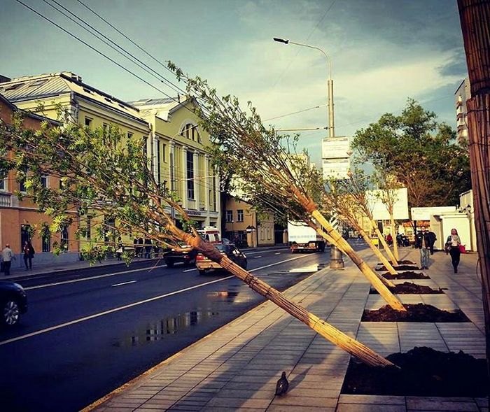 Ураган в Москве 29.05.2017 (фото)