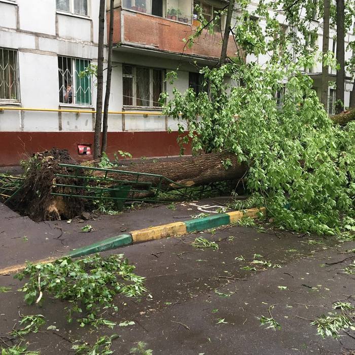 Ураган в Москве 29.05.2017 (фото)