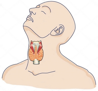 Как лечить узлы в щитовидной железе