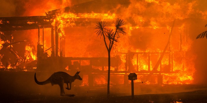 Почему в Австралии именно сейчас горят леса