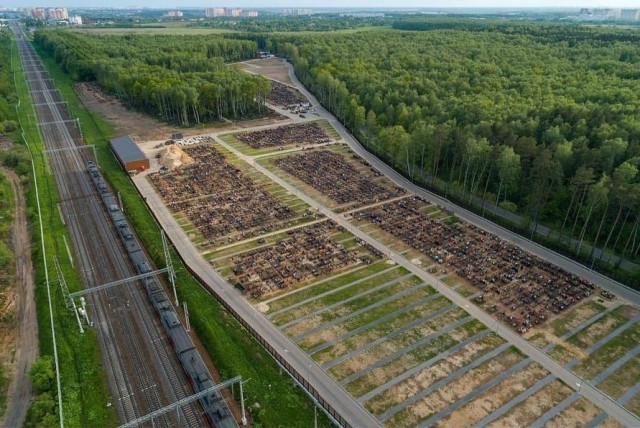 Бутовское кладбище в Москве, разница в полгода (фото)