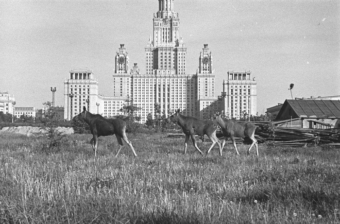 Старая Москва - еще фотографии