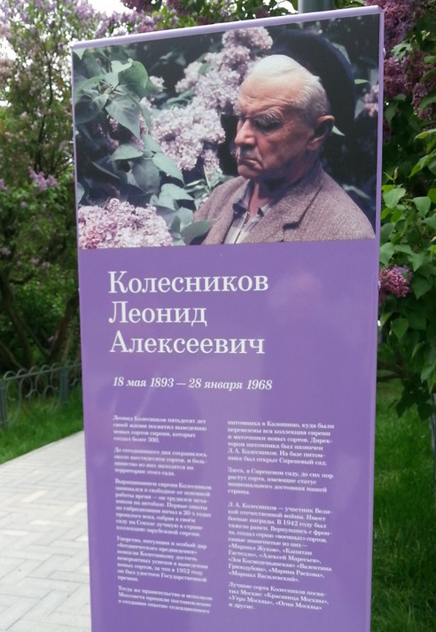Сиреневый сад в Москве - адрес, как добраться