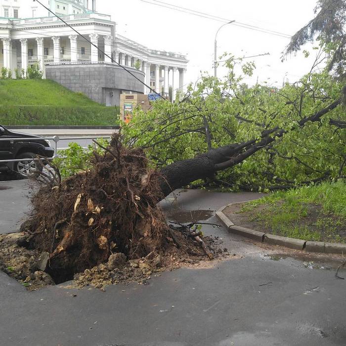 Будет ли ураган в москве. Ураганный ветер в Москве. Ураган в Москве 29 мая 2017. Ураган в Москве сейчас. Ураган в Москве (2017).